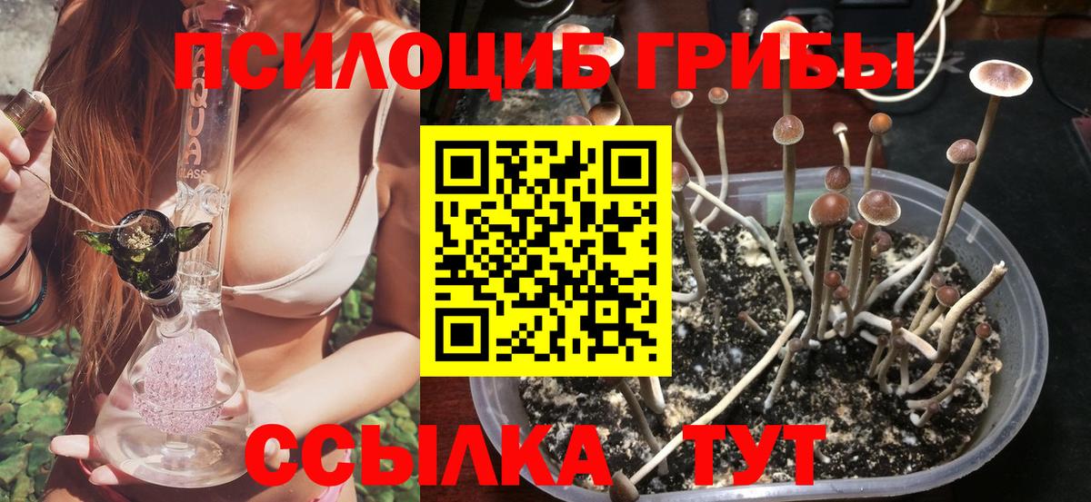 Псилоцибиновые грибы ЛСД Мелеуз