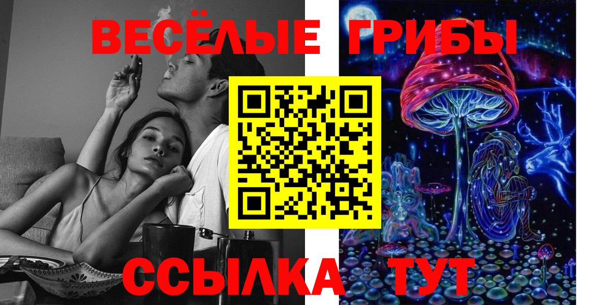 как найти наркотики  Вход с VPN  Мелеуз  Псилоцибиновые грибы Magic Shrooms 